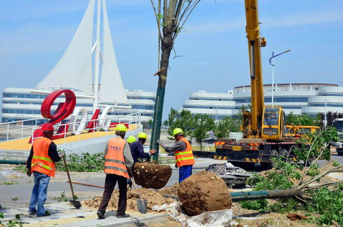 濱海區(qū)加速項(xiàng)目建設(shè)，全力打造精品工程